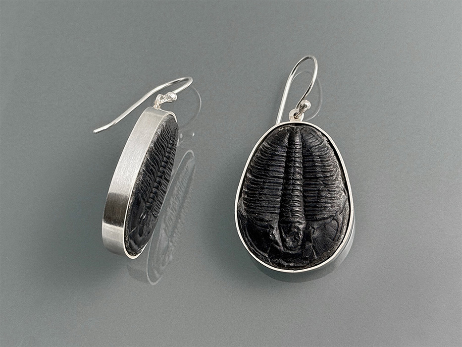 Trilobite Earrings
